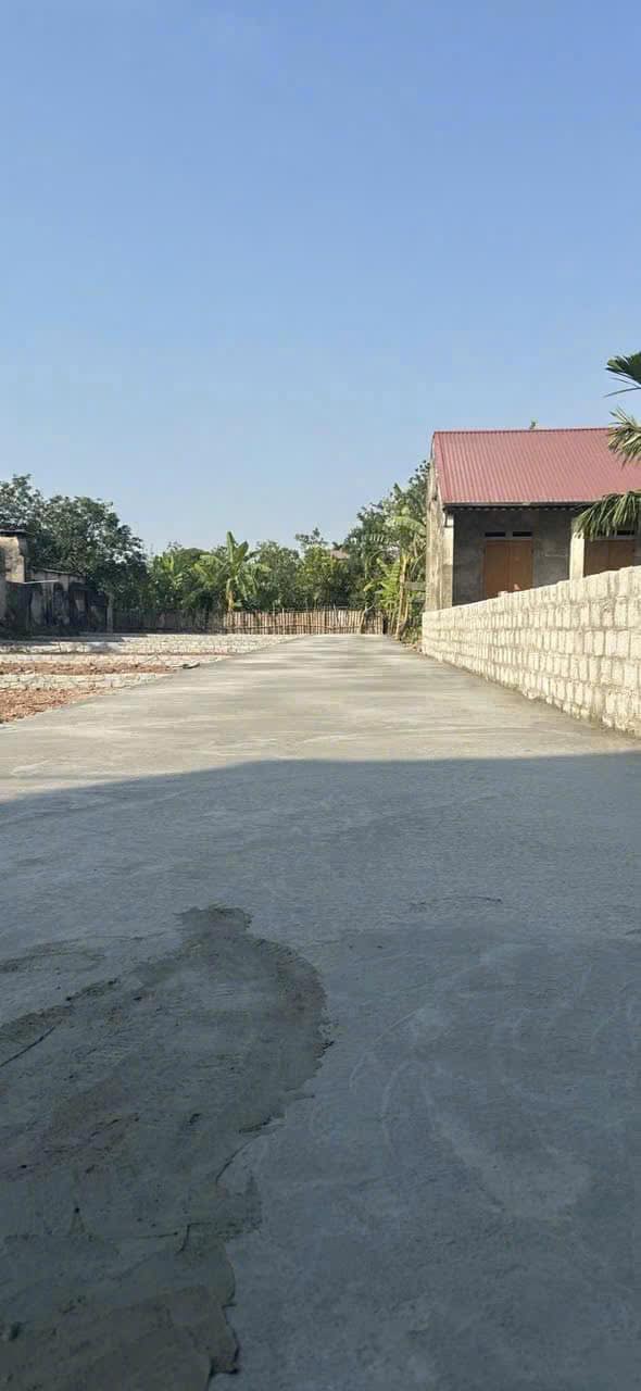 Lô đất Bạch Hạ, Phú Xuyên 84m² giá thỏa thuận - Tiềm năng sinh lời cao!