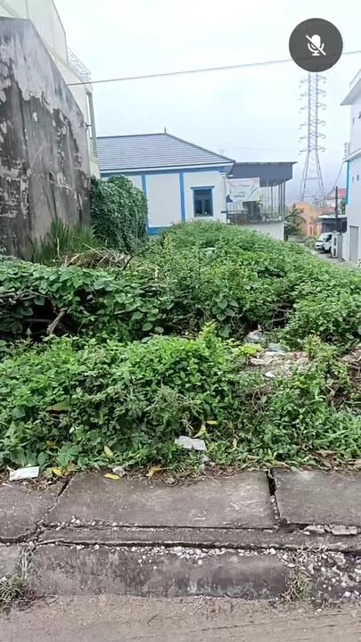 Đất góc Quốc lộ 1A Tân Hương Quỳnh Thiện 105m² - Cơ hội đầu tư hấp dẫn!