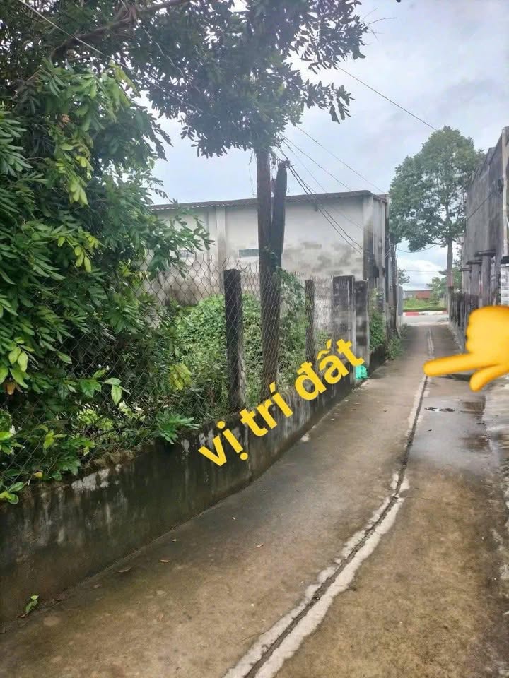 Đất Phước Hải 198m² giá 1.08 tỷ - Cơ hội đầu tư tuyệt vời!