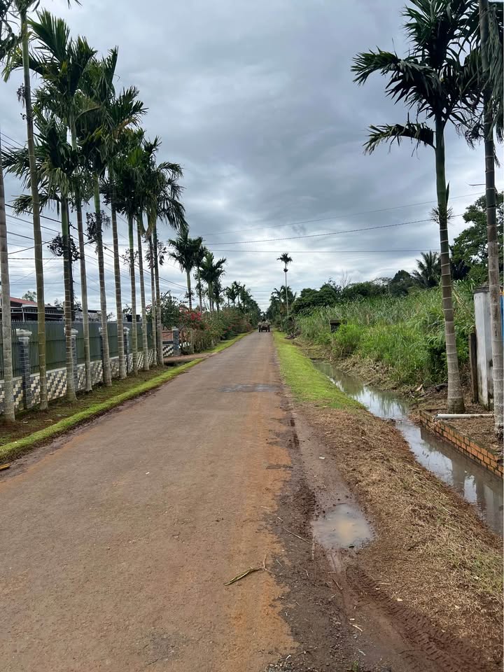 Đất thổ cư Thôn 2 Cư Dliê M'nông 445.5m² giá 1.79 tỷ - Sổ đỏ chính chủ!