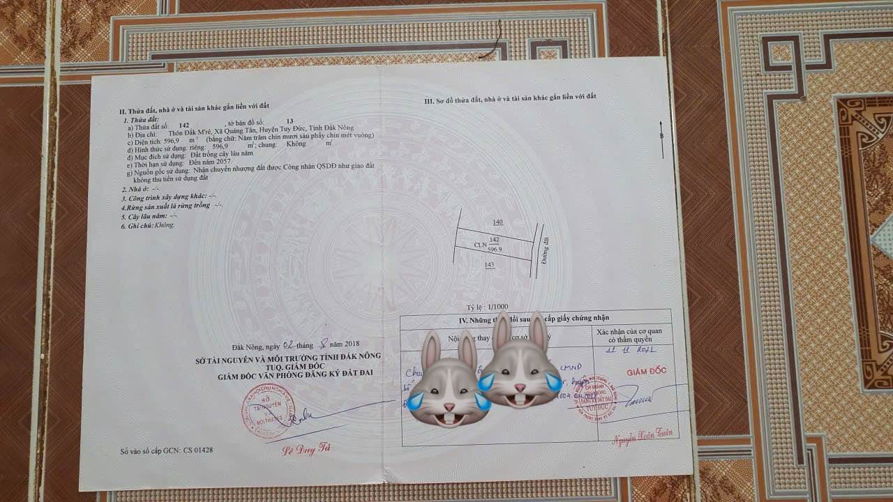 Đất nền Quảng Tân, Tuy Đức, Đắk Nông 1250m² - Cơ hội đầu tư tuyệt vời!