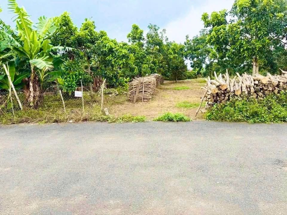 Đất thổ cư Lộc Đức - Bảo Lâm 147m² giá chỉ 700 triệu - Nhanh tay sở hữu!