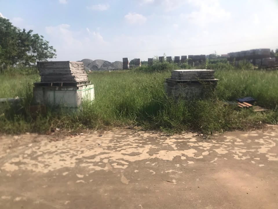 Đất nền 120m² khu Đồng Giỏ, Xuân Huy, Lâm Thao - Tiềm năng phát triển cực tốt!