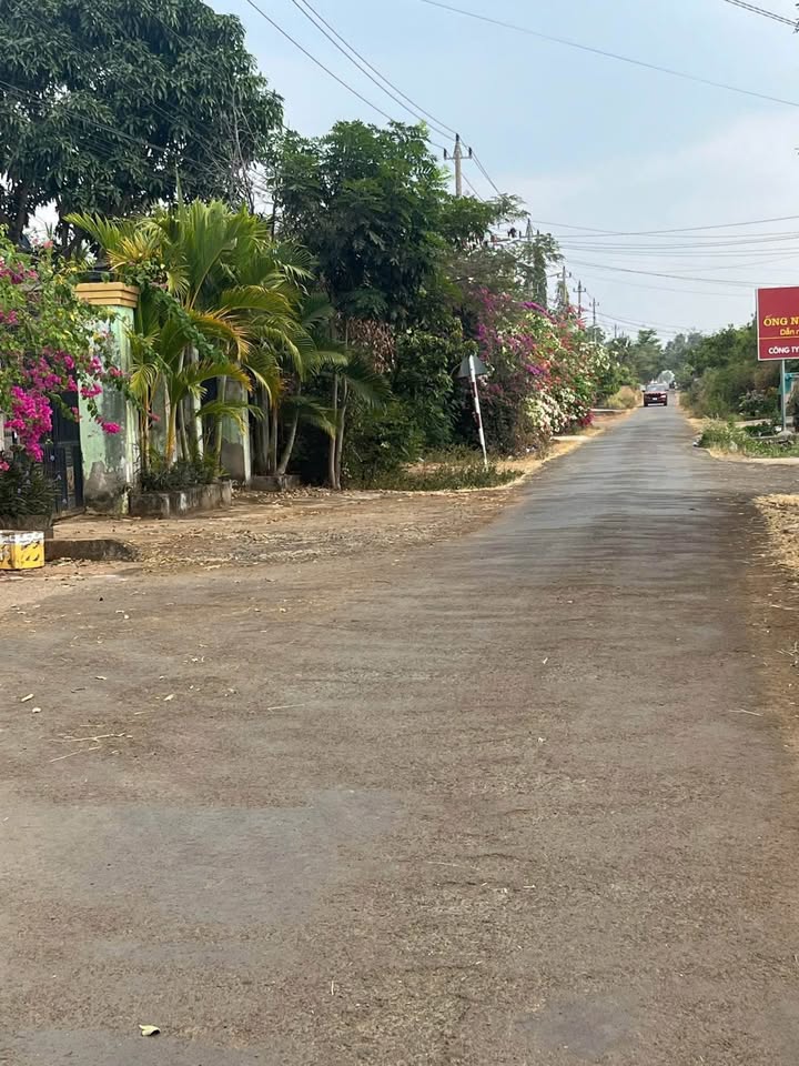 Đất thổ cư 140m² tại P. Thành Nhất chỉ 1.25 tỷ - Đầu tư sinh lời ngay!