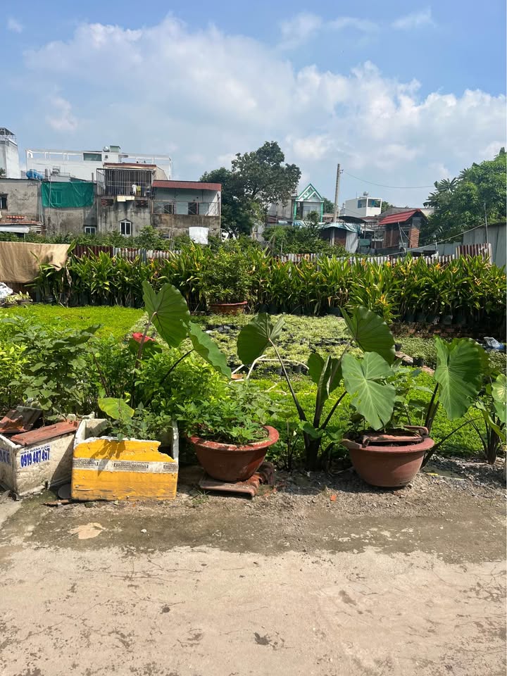 Đất nền 40m² tại Tân Thới Hiệp, Quận 12 giá 1.35 tỷ - Sổ đỏ chính chủ!