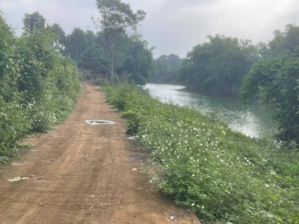 Đất Farm 2,5ha tại Ngọc Mỹ, Tân Lạc - Giá chỉ 5 tỷ VND - Cơ hội đầu tư tuyệt vời!