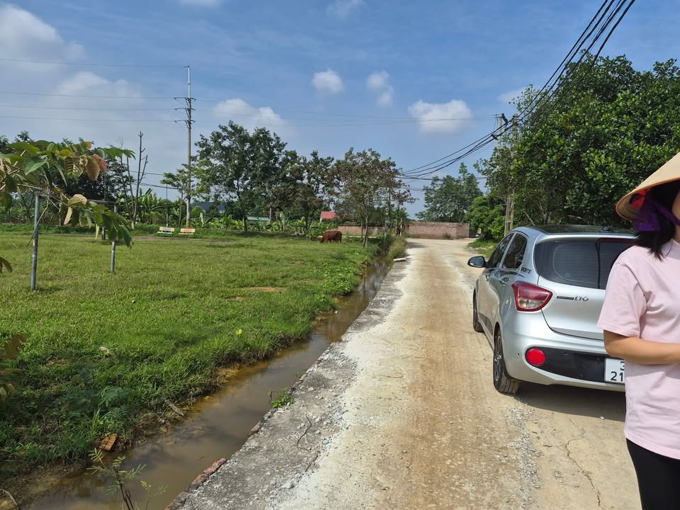 Đất nền Tòng Bạt, Ba Vì 200m² giá 800 triệu - Cơ hội đầu tư hấp dẫn!