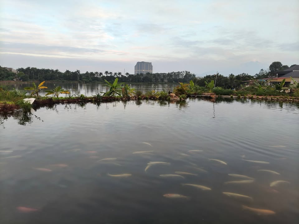 Đất thổ cư 175.6m² tại trung tâm thị trấn Thanh Thủy - Giá tốt thương lượng!