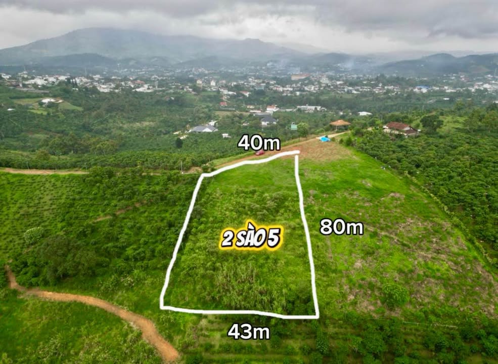 Đất nền Bảo Lộc 2500m² giá 2.1 tỷ - View núi Đại Bình tuyệt đẹp