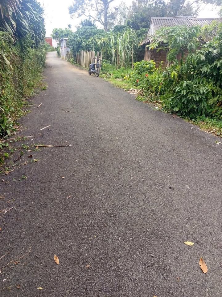 Đất nền Lộc Ngãi Bảo Lộc 2000m² giá 5.3 tỷ - Đầu tư sinh lời hấp dẫn!