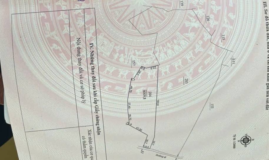 Đất nông nghiệp Bảo Lâm 3, Lâm Đồng 8009m² - Cơ hội đầu tư sinh lời!