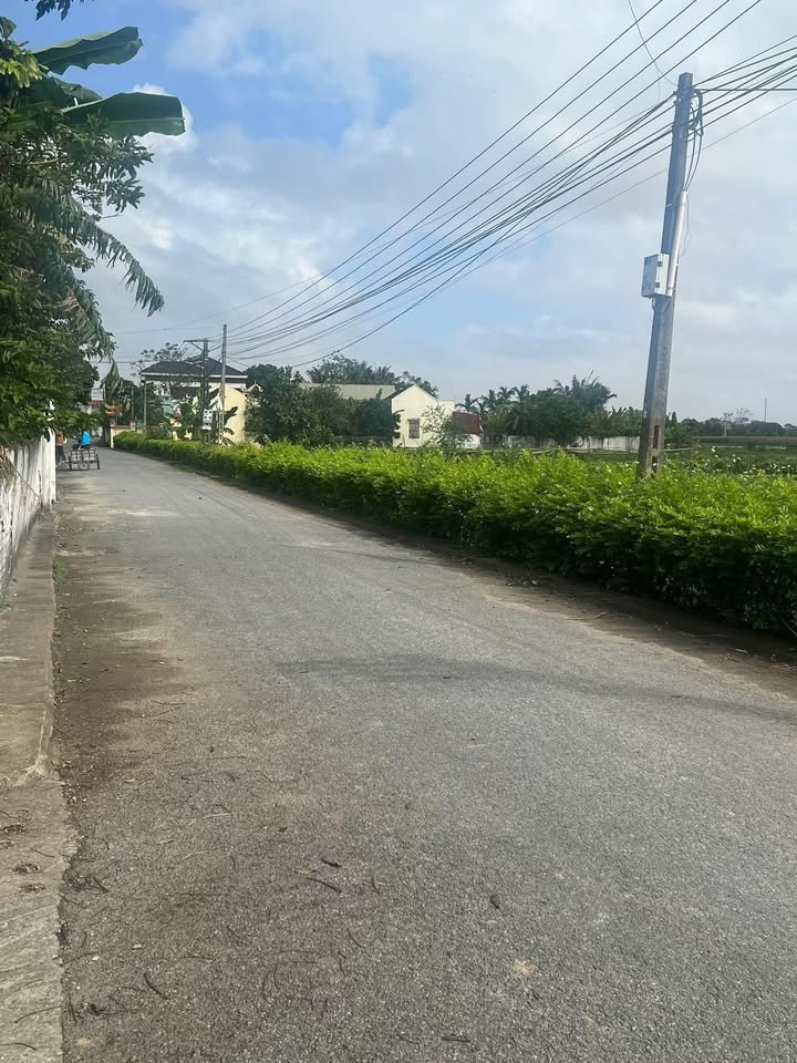 Đất nền Phú Lộc Hậu Lộc 175m² - Giá đầu tư hấp dẫn!