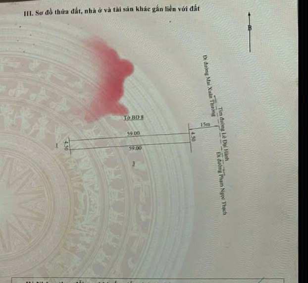 Lô đất mặt tiền Lê Đại Hành, Pleiku 265.5m² giá 2.2 tỷ - Đầu tư sinh lời ngay!