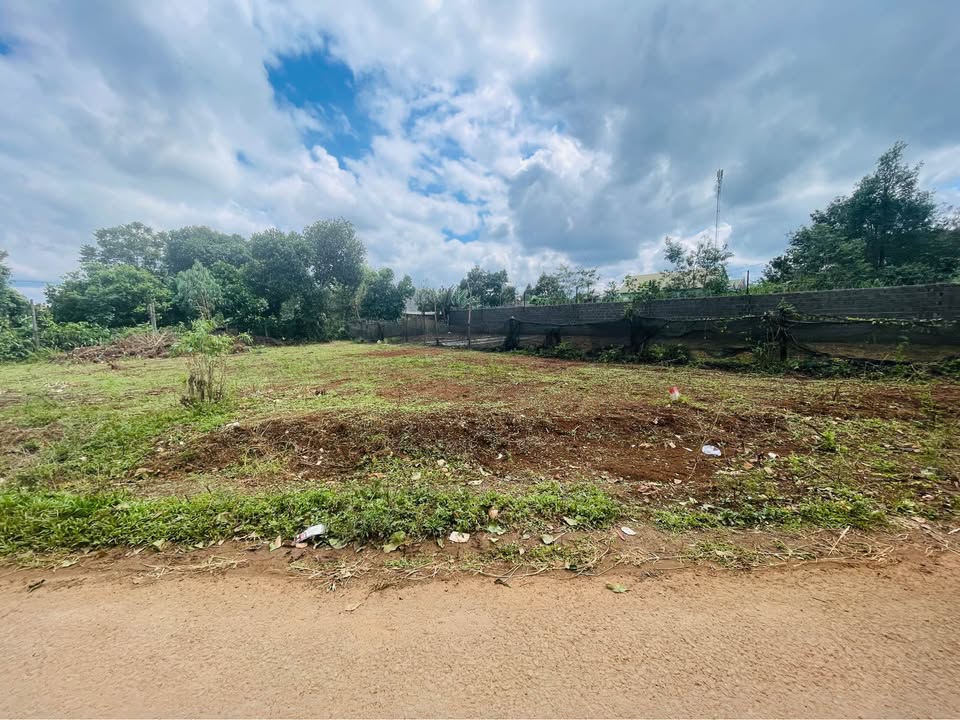 Đất mặt tiền Lý Chính Thắng, An Phú 298m² - Khu dân cư đông đúc!