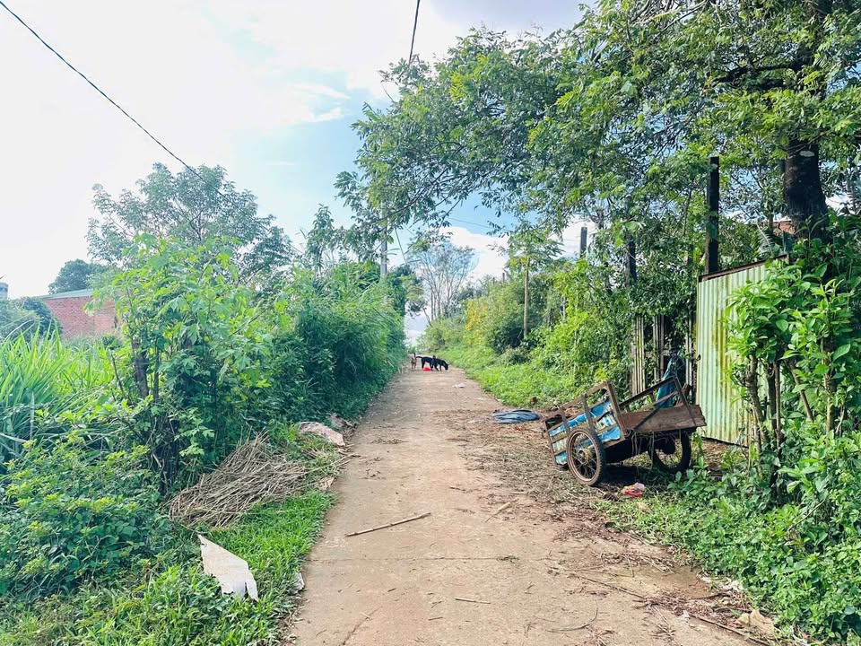 Đất nền Hội Phú 432m² giá 700 triệu - Vị trí đẹp hướng Bắc!