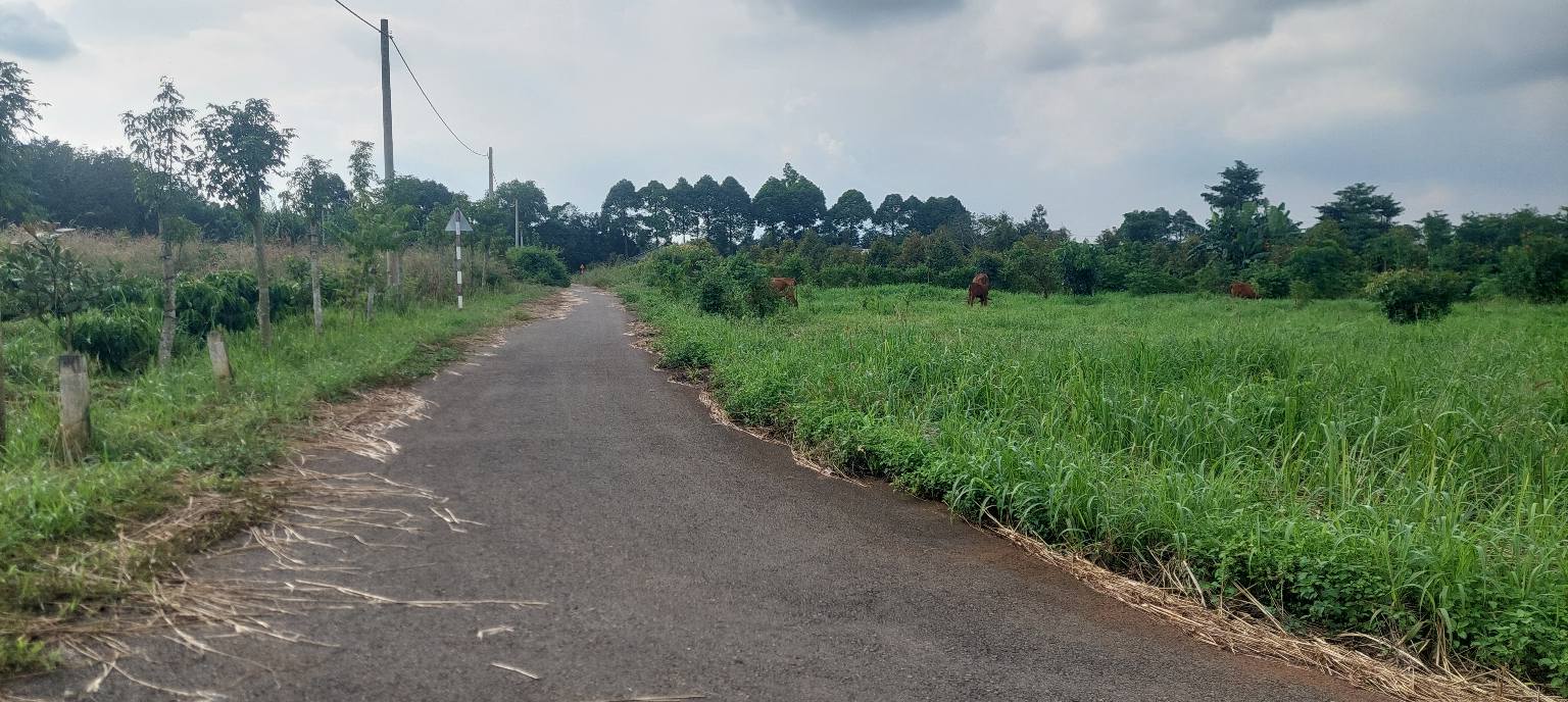 Đất thổ cư Bàu Chinh Châu Đức 1.930m² giá 3.5 tỷ - Tiềm năng đầu tư tuyệt vời!