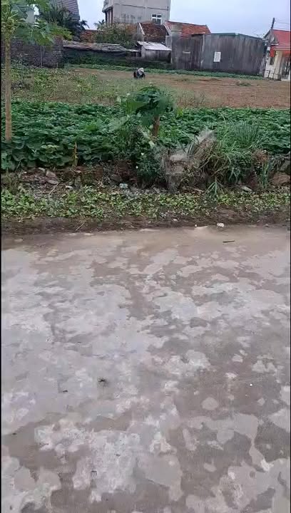 Lô đất ven biển Diễn Hải 129,5m² giá 1 tỷ - Đầu tư sinh lời ngay!