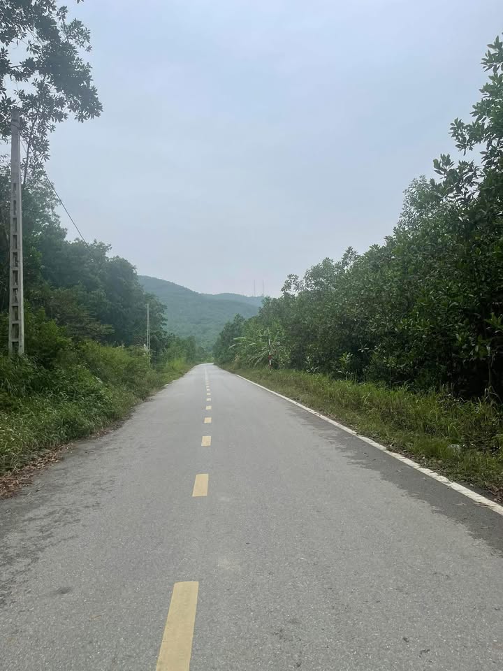 Đất nền thổ cư Lạc Thủy 117m² giá chỉ 330 triệu - Đầu tư sinh lời ngay!