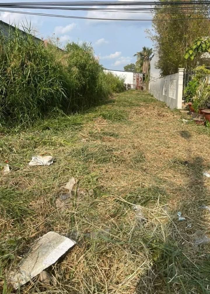 Đất nền chính chủ Phường 7, Cà Mau 135m² - Hướng Nam, giá 1 tỷ hấp dẫn!