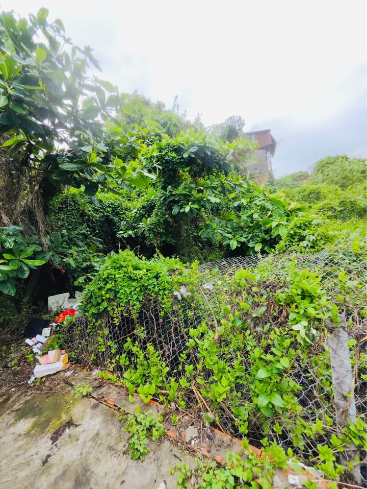 Đất nền thổ cư Long Xuyên 84m² giá 1 tỷ - Chính chủ, thương lượng ngay!