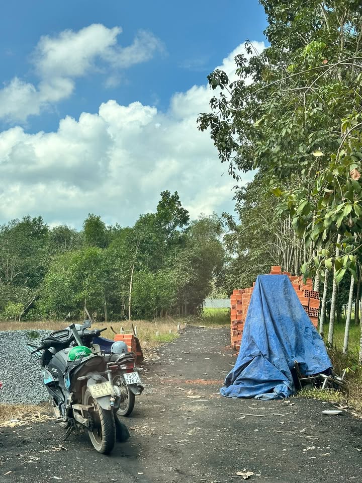 Đất nền chính chủ Ninh Điền, Tây Ninh, 96m², Giá chỉ từ 1xx triệu