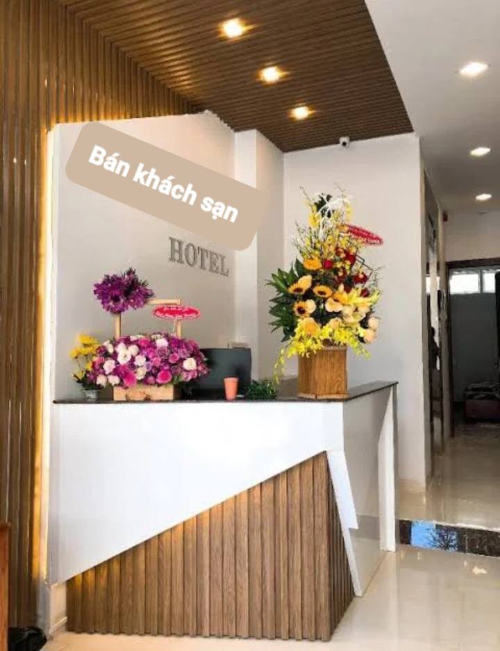 Khách sạn Nha Trang 48m² giá 14.7 tỷ - Vị trí đắc địa gần biển!