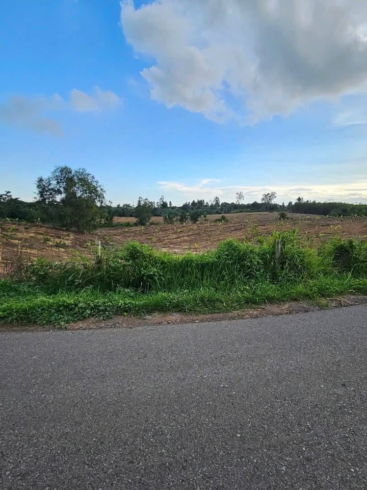 Lô đất Suối Rao 1579m² giá 1.65 tỷ - Cơ hội đầu tư tuyệt vời!