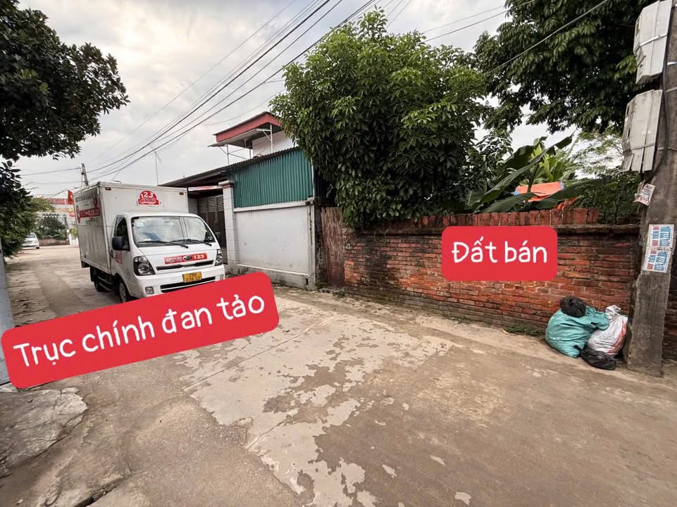 Đất nền 100m² Trục Chính Đan Tảo, Tân Minh - Cơ hội đầu tư tuyệt vời!