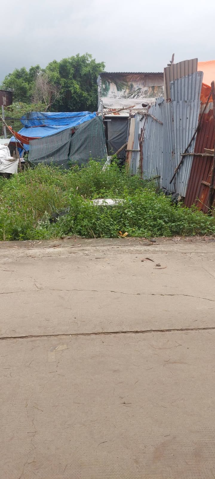 Đất nền Vĩnh Lộc B 50m² giá 550 triệu - Đầu tư sinh lời ngay!