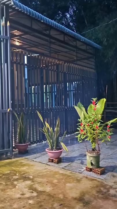 Nhà bán ở Ấp Tân Bình, Tây Ninh 175m² giá 540 triệu - Khu dân cư đông đúc!