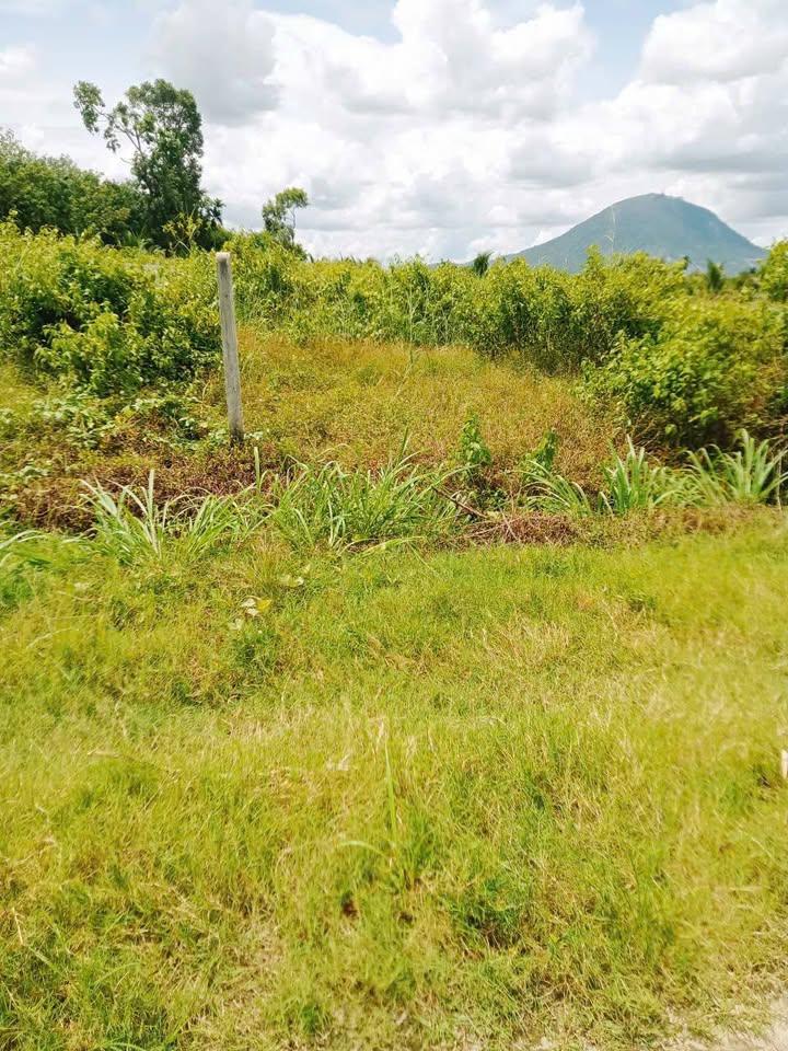 Đất nền Bàu Năng, Dương Minh Châu 145m² giá 380 triệu - Sổ hồng chính chủ!