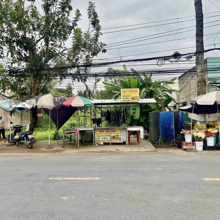 Đất nền biệt thự Sơn Đông, Bến Tre 341m² giá 3.34 tỷ - Vị trí kinh doanh thuận lợi!