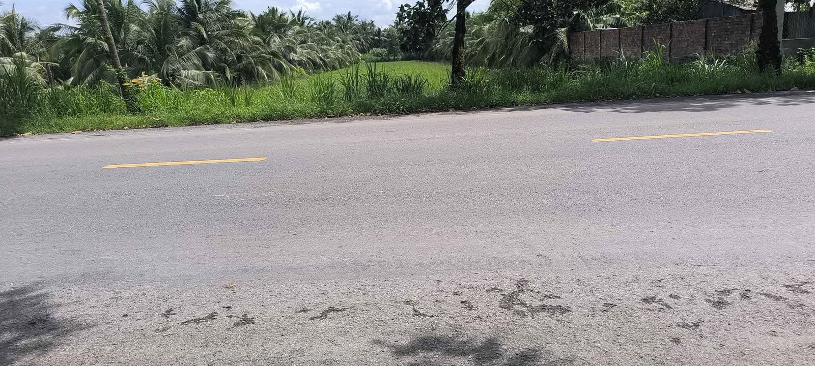 Đất mặt tiền Trương Vĩnh Trọng 8200m² giá 6.888 tỷ - Cơ hội đầu tư tiềm năng!