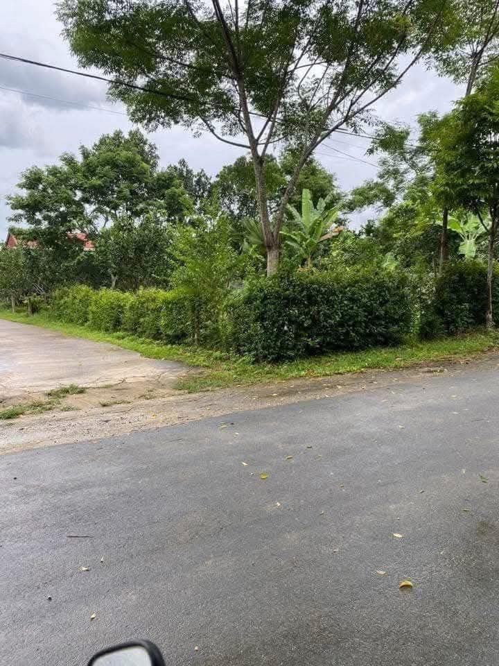 Đất góc 2 mặt tiền thôn 2 Phú Phong 168m² - Cơ hội đầu tư hấp dẫn!