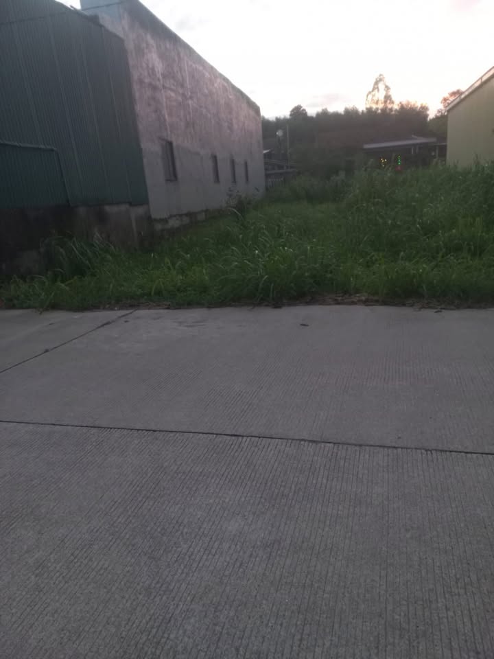 Đất nền mặt tiền Tỉnh Lộ 624, Bình Phước 135m² giá chỉ 800 triệu - Cơ hội đầu tư hấp dẫn!