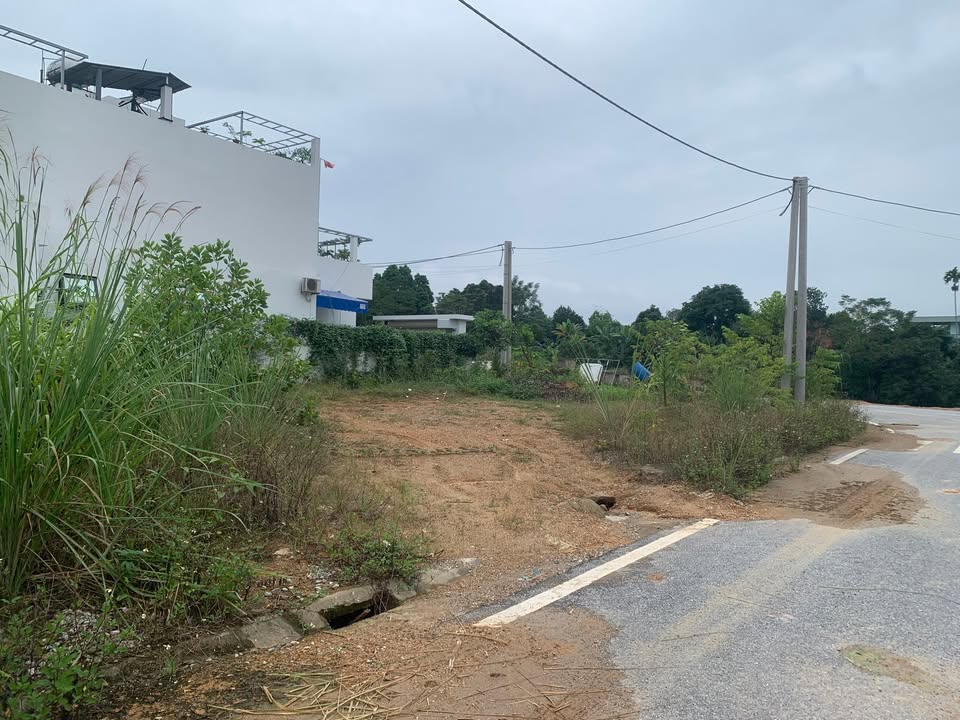 Đất nền Yên Sơn Tuyên Quang 226m² - Chính chủ cần bán gấp!