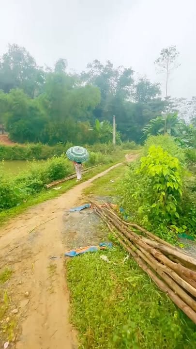 Đất nghỉ dưỡng Long Cốc 601m² giá 400 triệu - Cơ hội đầu tư tuyệt vời!