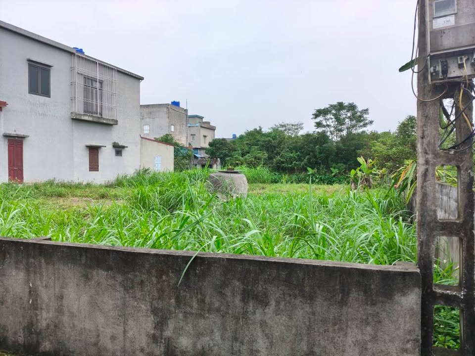 Đất nền Giao Nhân Giao Thủy 632m² - Sổ đỏ chính chủ, giá thỏa thuận!