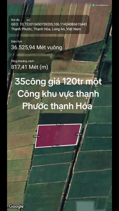 Đất nông nghiệp 32 công tại Thạnh Phước, Thạnh Hóa - Giá 3.84 tỷ, mặt tiền 130m