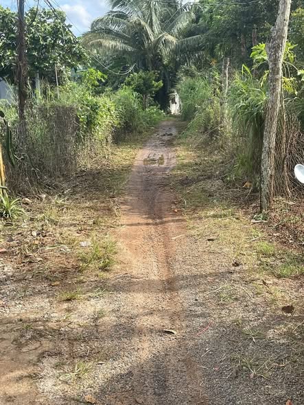 Nhà phố hẻm Trần Quốc Toản, Ea Drăng, 110m² giá 1.2 tỷ - Đầu tư sinh lời ngay!