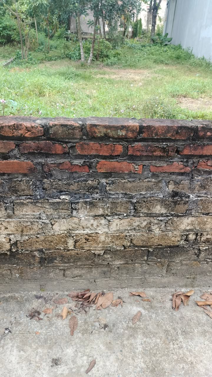 Lô đất Thụy An, Ba Vì 203m² giá 1.3 tỷ - Cơ hội đầu tư không thể bỏ lỡ!