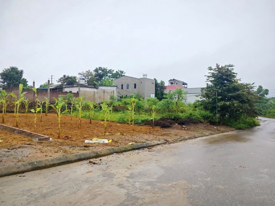 Đất nền 200m² mặt tiền 10m tại xã Phú Cát, Quốc Oai - Giá chỉ 4 tỷ!