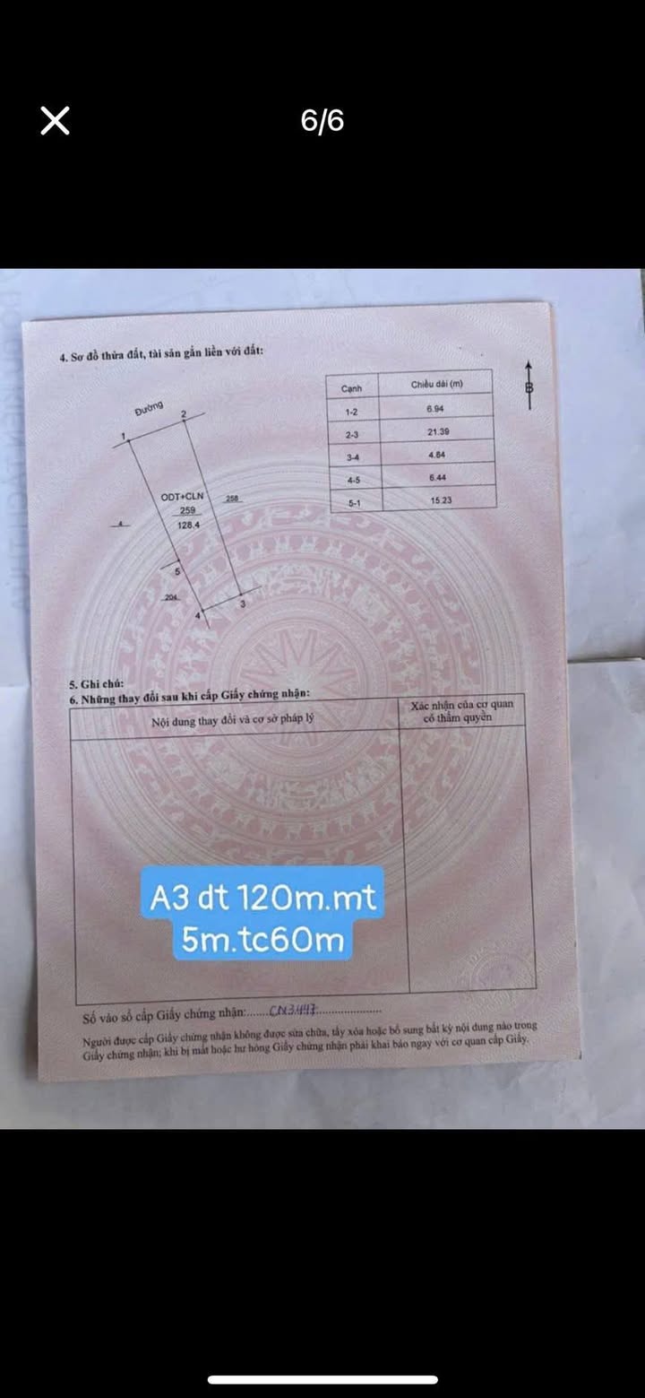 Đất nền khu phố Đông Quý, phường Đồng Tâm, Vĩnh Yên 128m² chỉ 1.5 tỷ - Cơ hội đầu tư hấp dẫn!