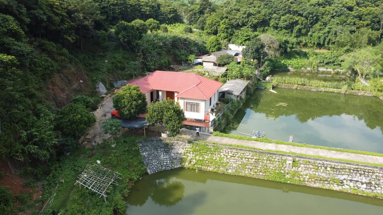 Trang trại đẹp tại Km13 Phong Hải, Lào Cai - Diện tích 8ha, giá thỏa thuận!