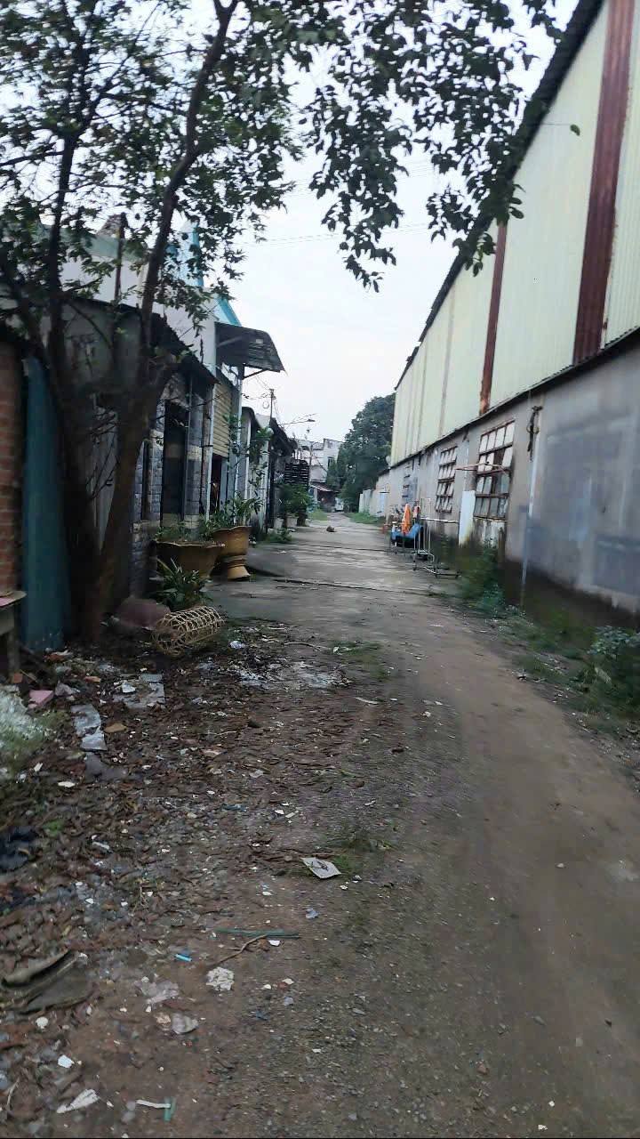 Đất nền An Phú, Thuận An 100m² giá 2 tỷ - Sổ hồng riêng, đầu tư sinh lời!