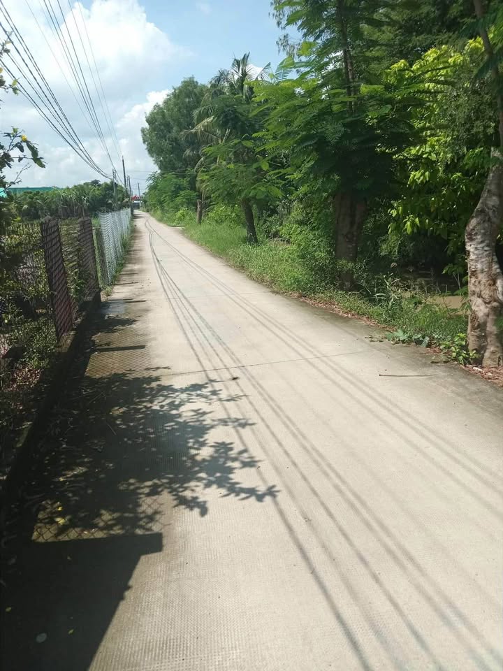 Đất nền 2000m² Phú Ngãi Trị, Châu Thành, Long An - Giá chỉ 1,2 tỷ, view kênh thoáng mát!