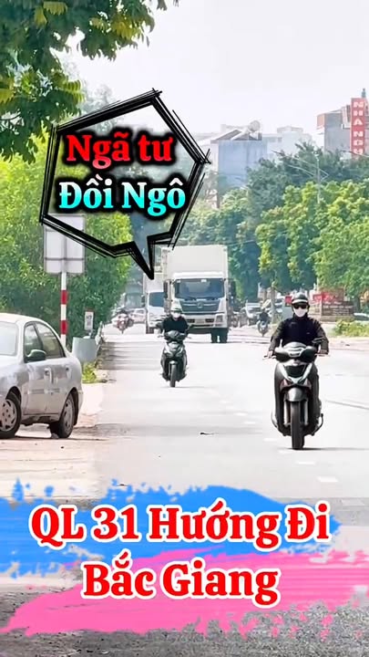Đất mặt đường QL 31 Đồi Ngô Lục Nam 100m² - Pháp lý rõ ràng, thuận tiện kinh doanh!