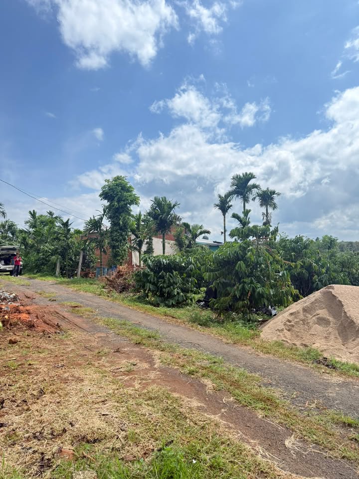 Đất nông nghiệp 7200m² tại Ea Kiết, Cư M'gar - Giá 1.7 tỷ, Tiềm năng lớn!