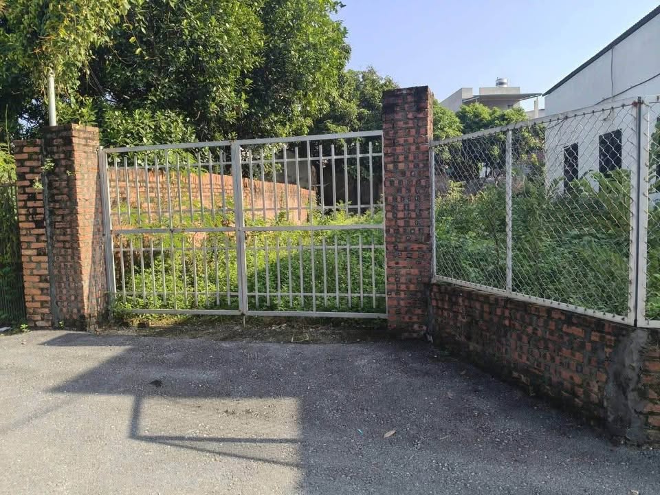 Đất nền Xuân Hòa Phúc Yên 104m² giá 1.8 tỷ - Đường lớn xe tải vào tận nơi!