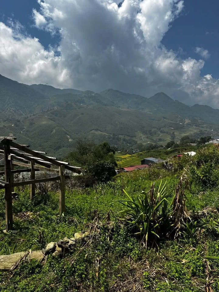 Đất nền Sử Pán, Sa Pa 1.500m² giá 5 tỷ - Cơ hội đầu tư vàng!